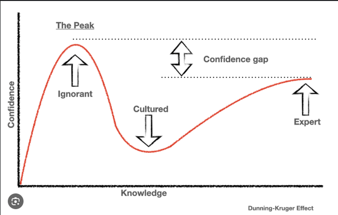 O Efeito Dunning Kruger