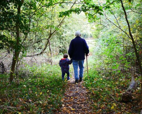 grandparents, walk, old, grandchildren, grandson, green walking, grandparents, grandparents, grandparents, grandparents, grandparents, grandchildren, grandchildren