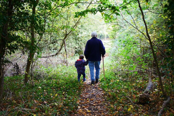 grandparents, walk, old, grandchildren, grandson, green walking, grandparents, grandparents, grandparents, grandparents, grandparents, grandchildren, grandchildren
