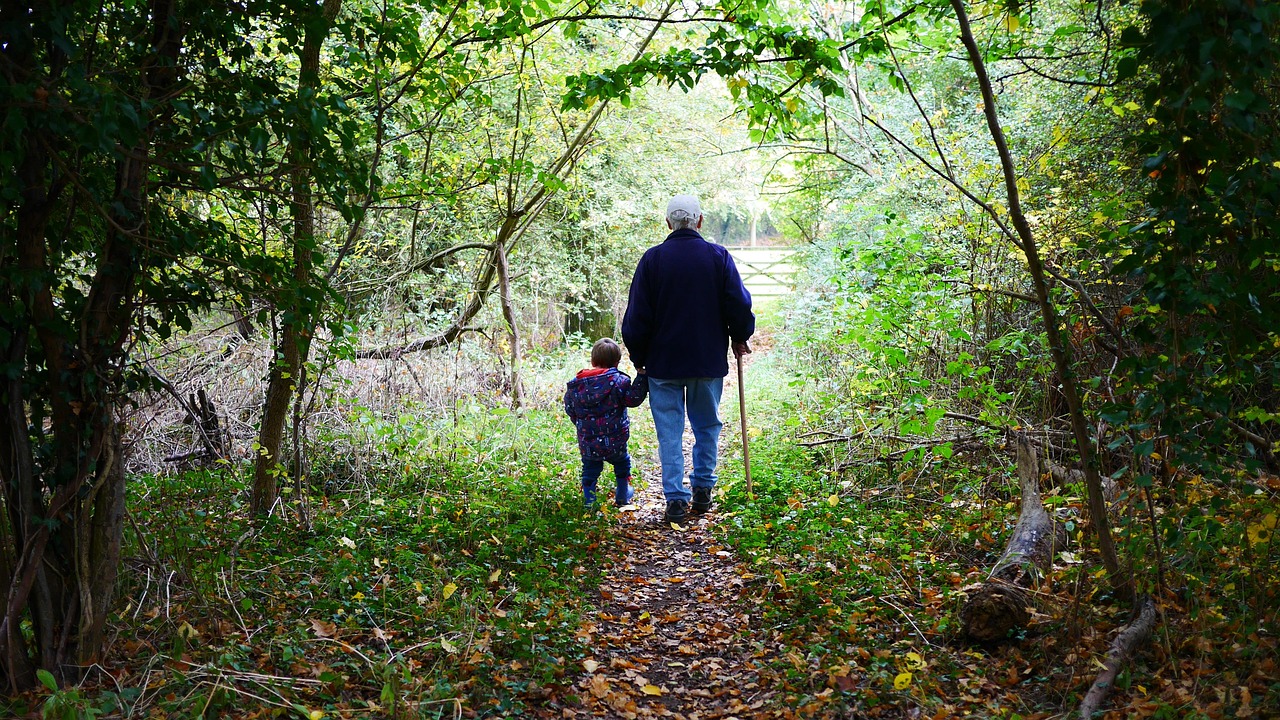 grandparents, walk, old, grandchildren, grandson, green walking, grandparents, grandparents, grandparents, grandparents, grandparents, grandchildren, grandchildren