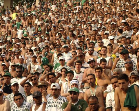 football, crowd, stadium, fans, support, crowd, crowd, crowd, crowd, crowd